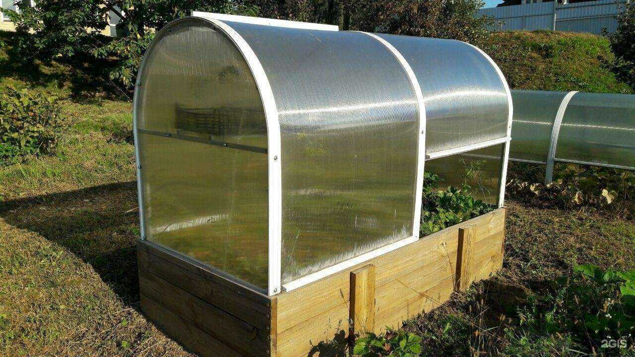 Отзывы на компанию Тюльпан мини в г. Дзержинский c фото