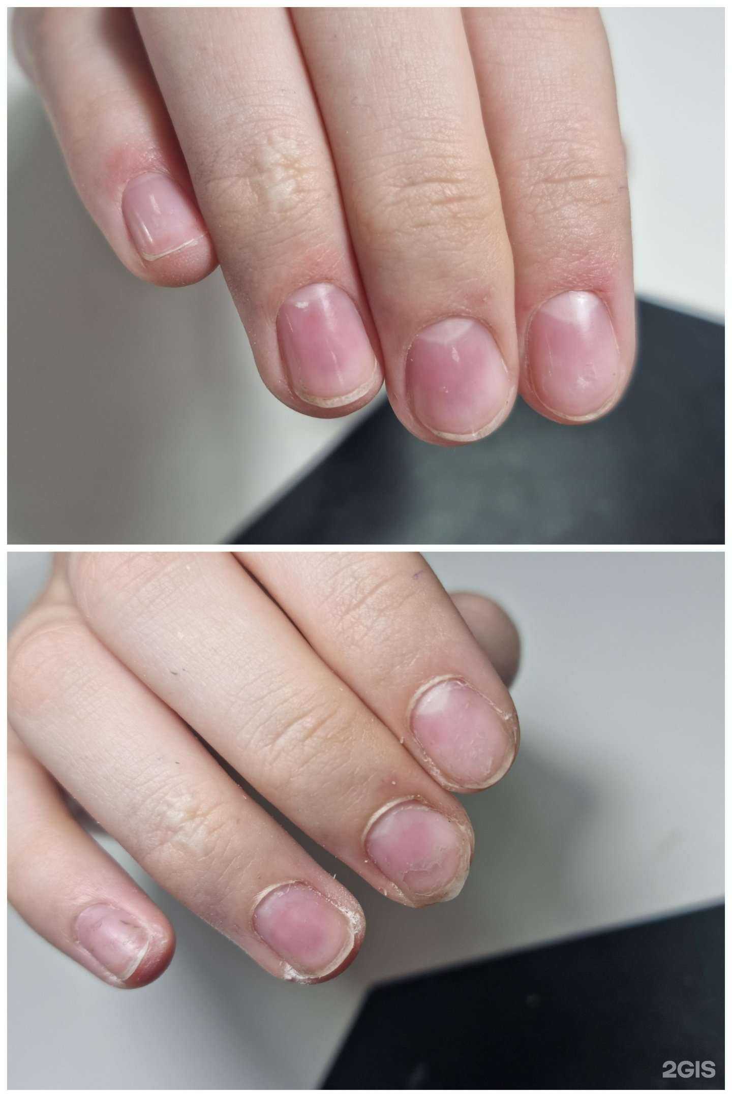 Отзывы на компанию Сорока в г. Владивосток c фото