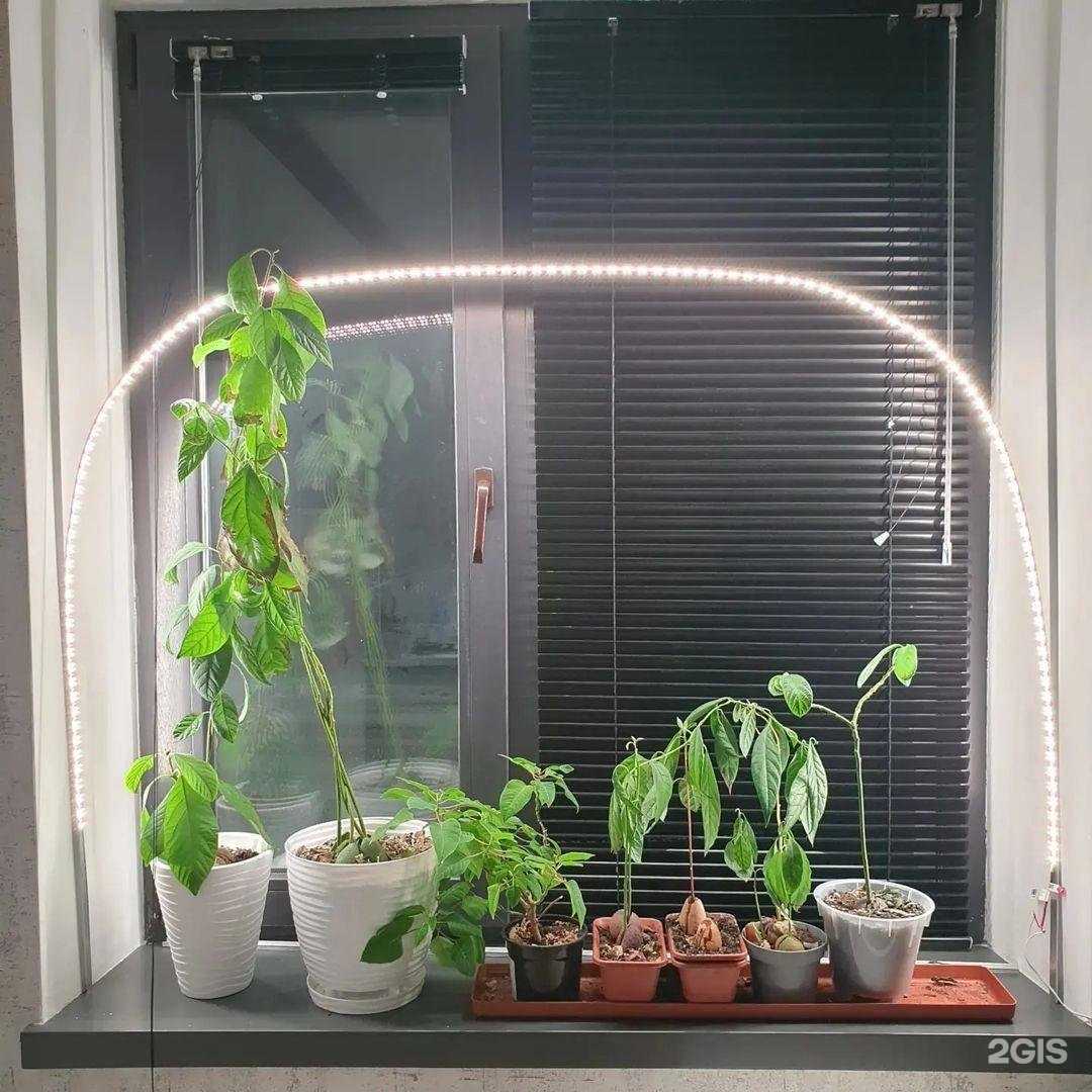 Отзывы на компанию СургутСвет в Сургуте c фото