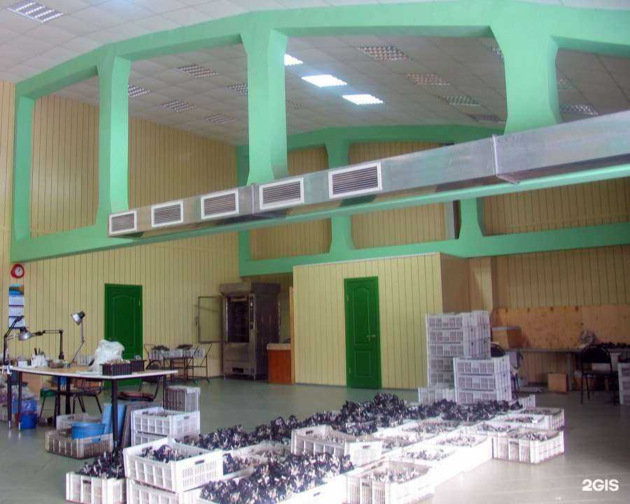 Отзывы на компанию Явва в г. Ульяновск c фото