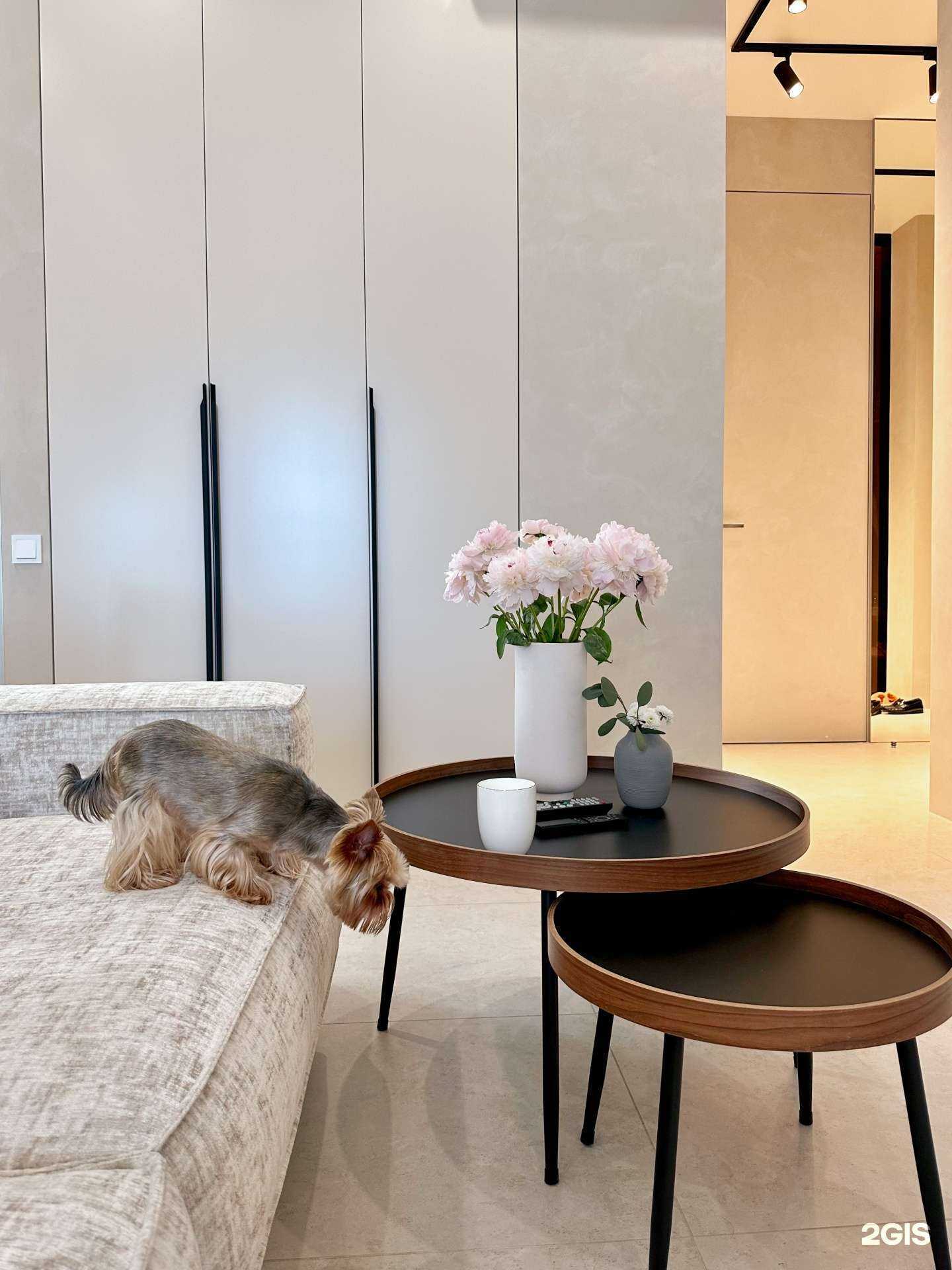 Отзывы на компанию Аристо в Владивостоке c фото