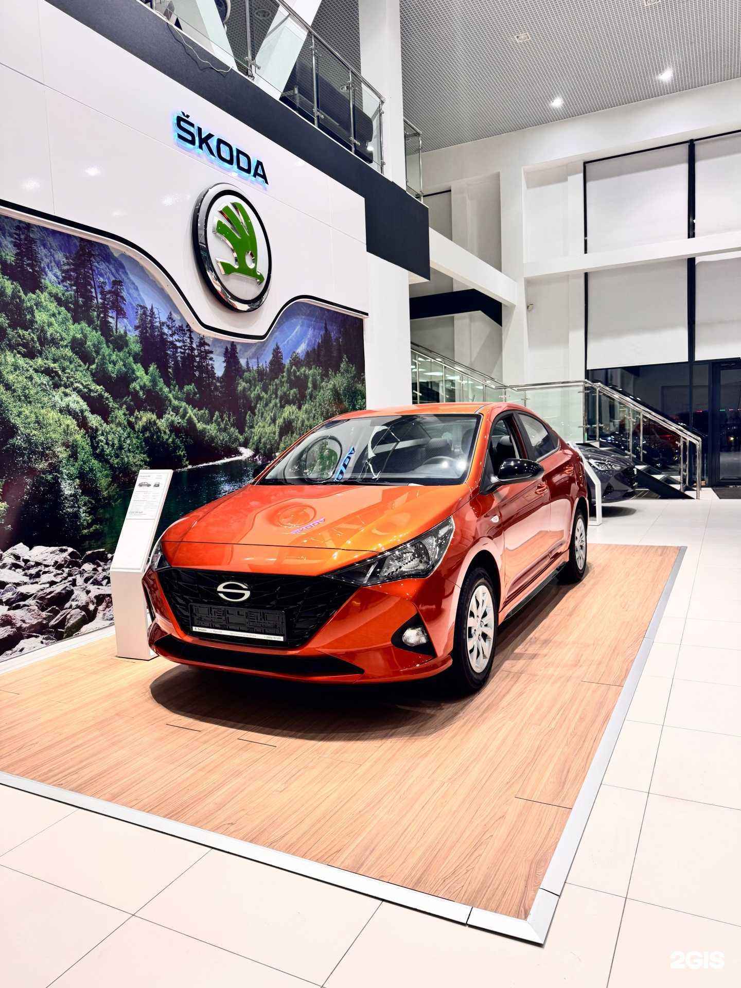 Отзывы на компанию Solaris Россо Ск в г. Иркутск c фото