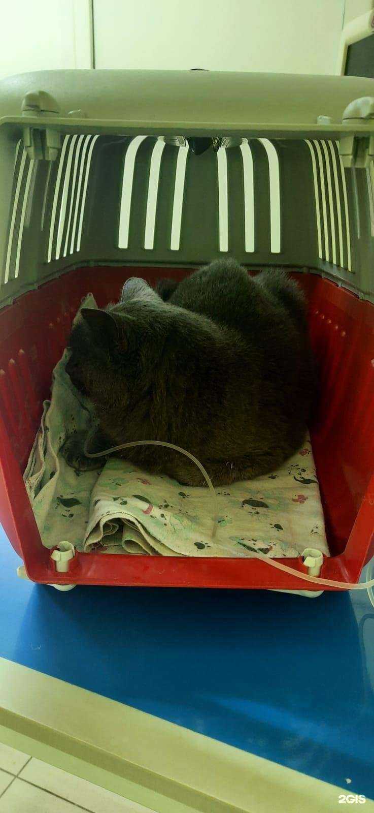 Отзывы на компанию Друг в г. Чебоксары c фото