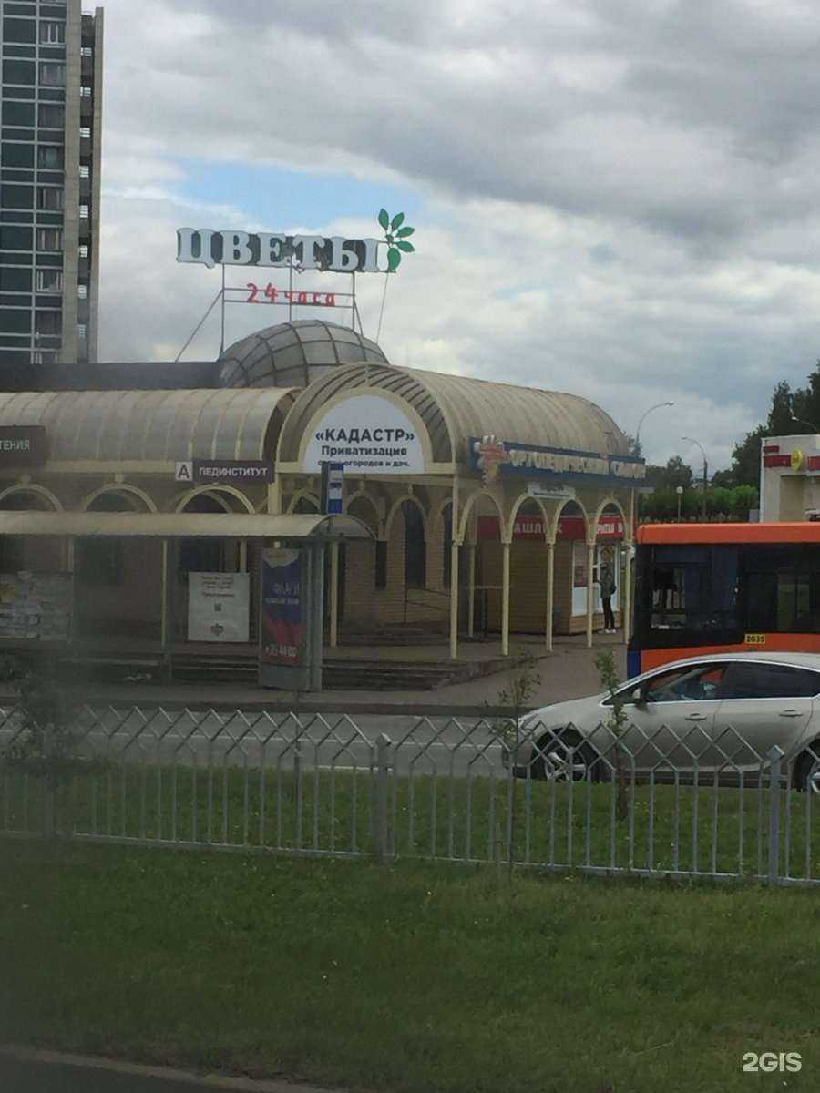 Отзывы на компанию Кладовая здоровья в Набережных Челнах c фото - фотография 2 из 2