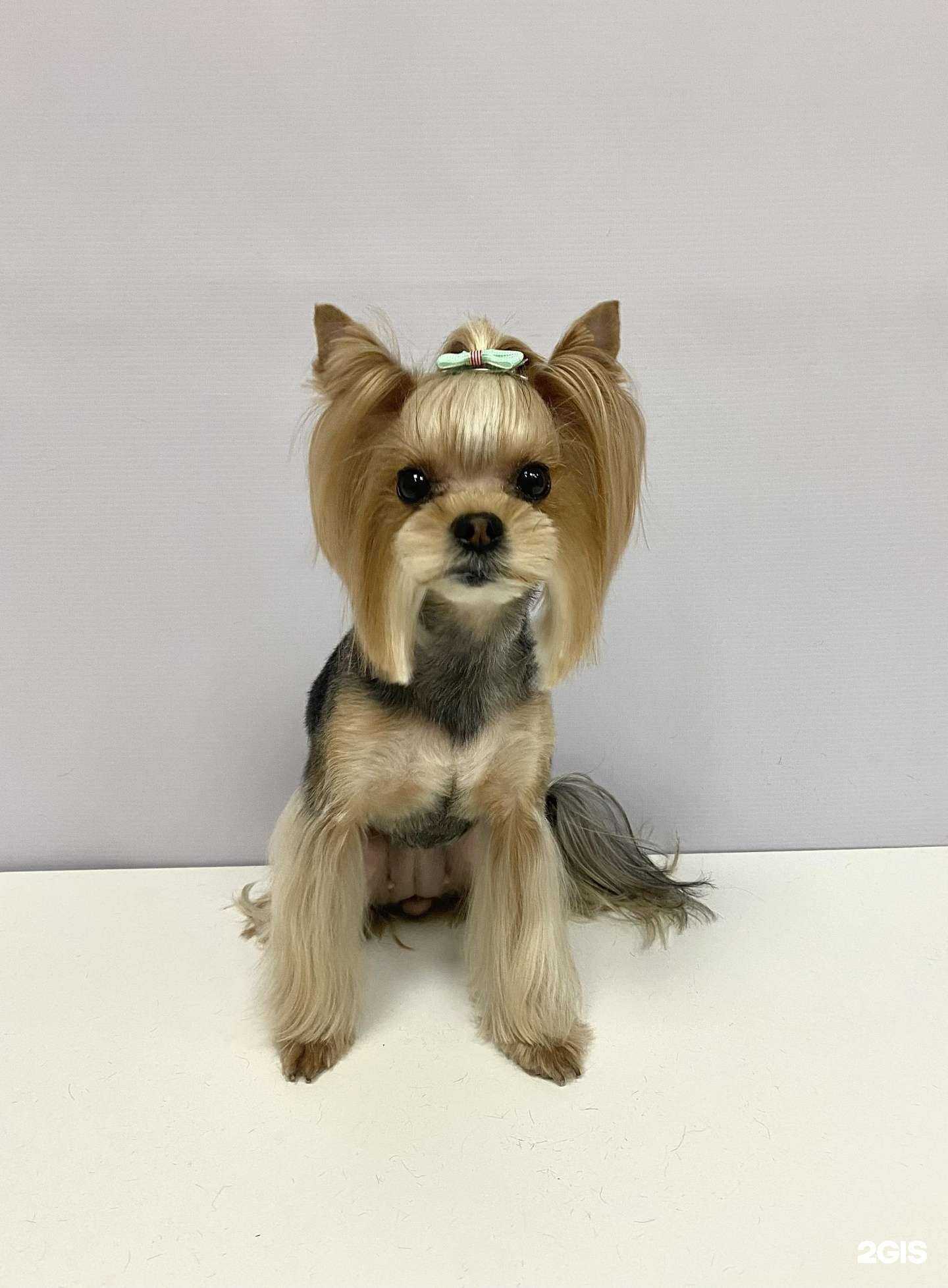 Отзывы на компанию K.S.Groom в Казани c фото