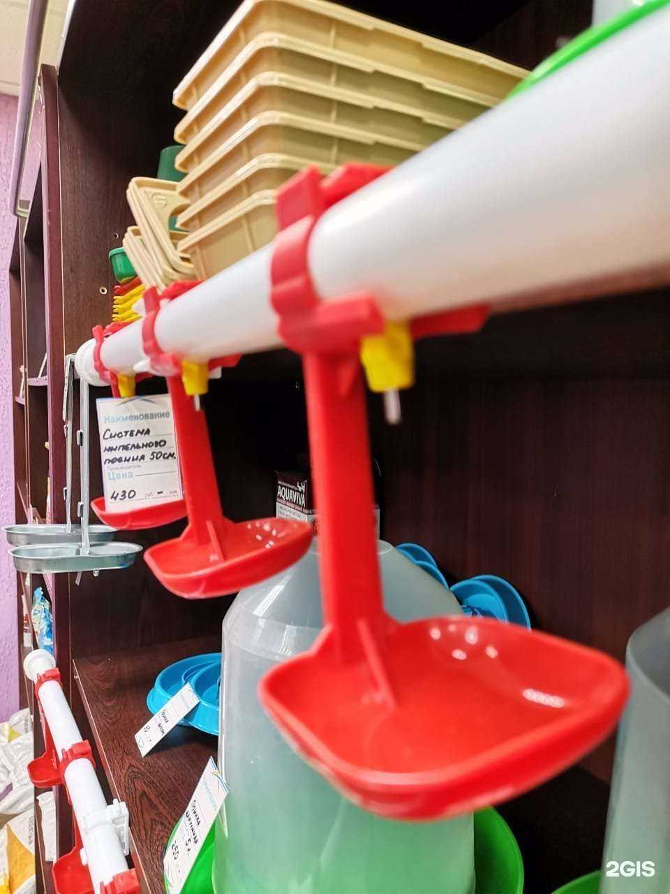 Отзывы на компанию Кормушка в г. Великий Новгород c фото