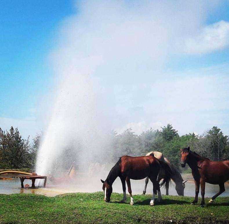 Отзывы на компанию Абара в Сочи c фото