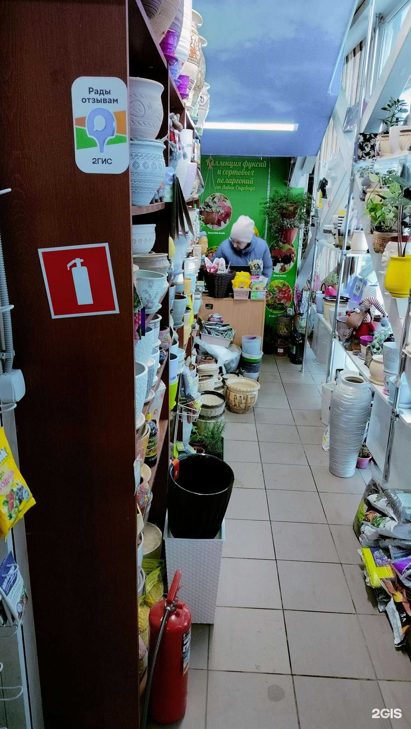 Отзывы на компанию Русский сад в Раменском c фото