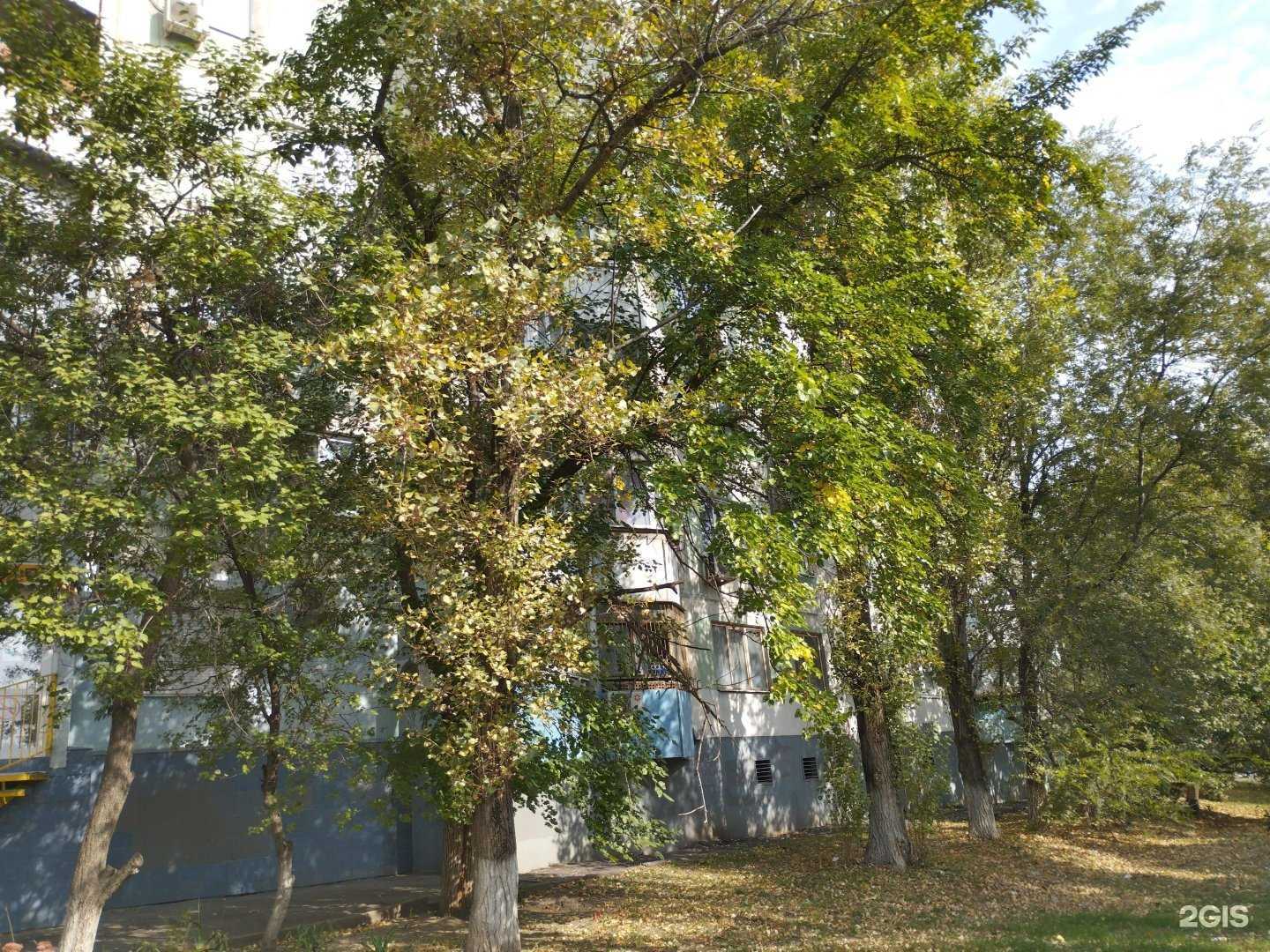 Отзывы на компанию Вундеркинд в Ростове-на-Дону c фото - фотография 2 из 2