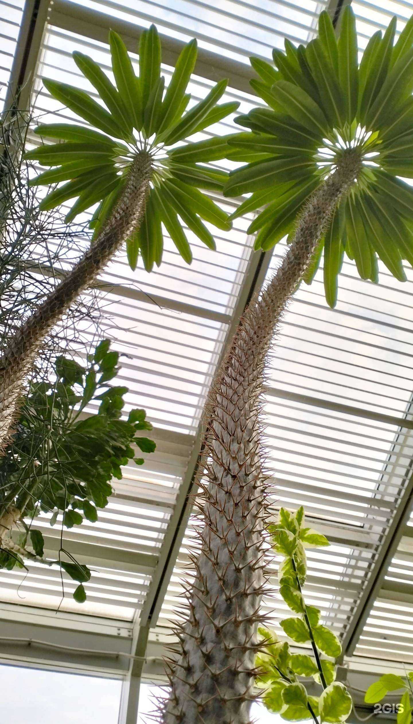 Отзывы на компанию Зимний сад в Белгороде c фото