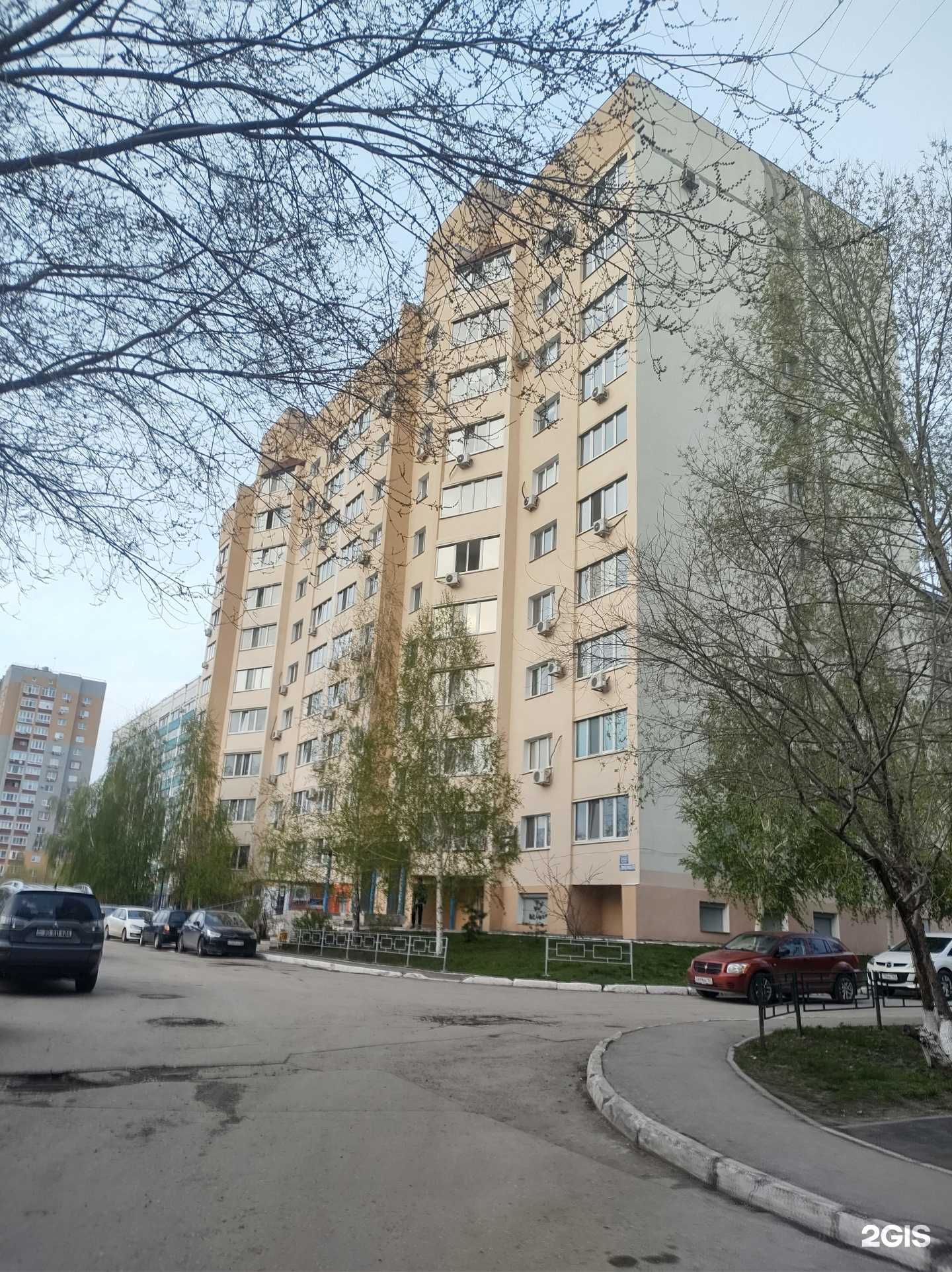 Отзывы на компанию Дом йоги Натальи Московских в Самаре c фото - фотография 2 из 2