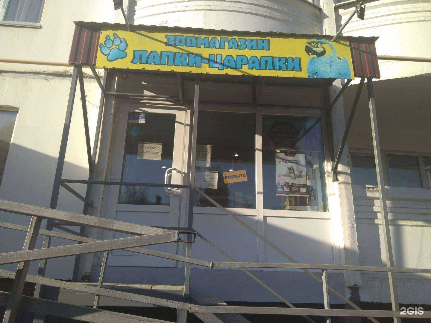 Отзывы на компанию Лапки-царапки в г. Саратов c фото