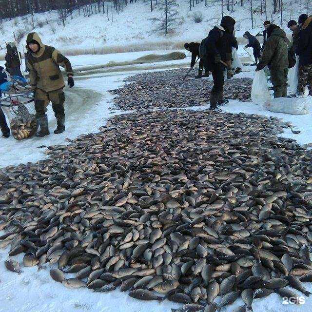 Отзывы на компанию Рыбный дворик в г. Якутск c фото