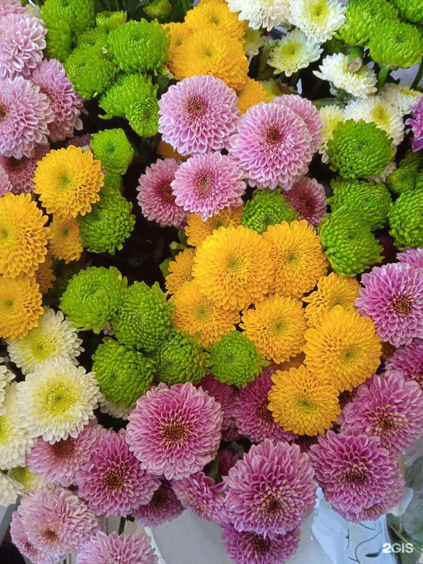 Отзывы на компанию Магазин цветов в Новосибирске c фото - фотография 2 из 2