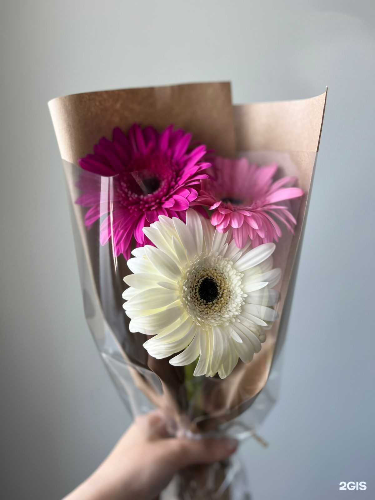 Отзывы на компанию Цветочный Ряд в г. Владивосток c фото