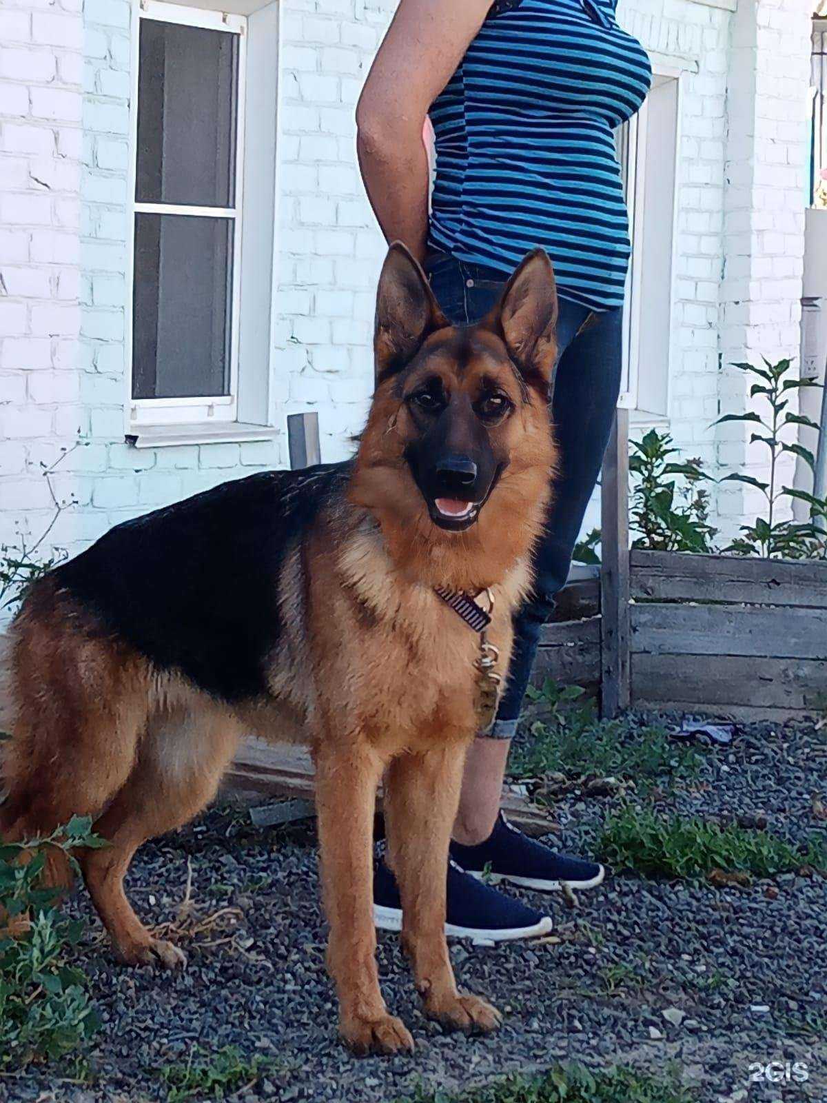 Отзывы на компанию Из дома Цорри в Камышине c фото