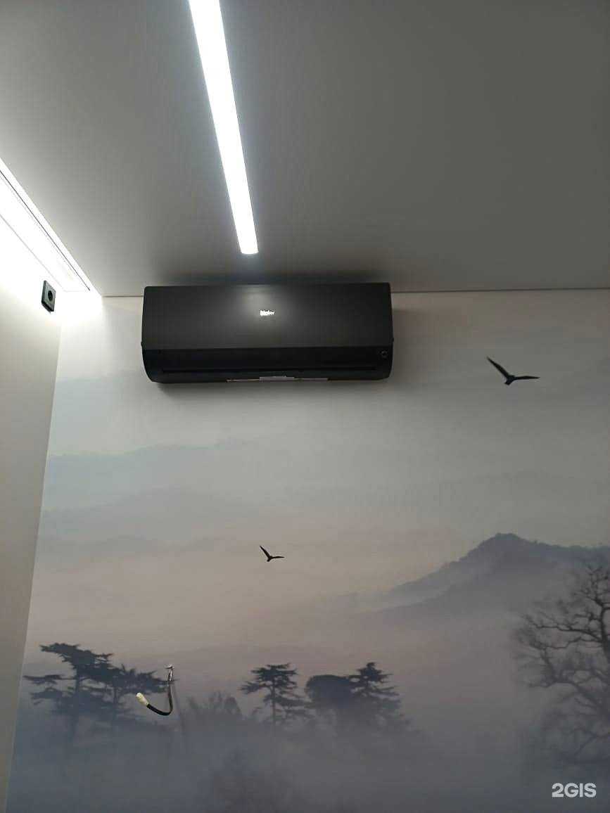 Отзывы на компанию Элайв в Артёме c фото