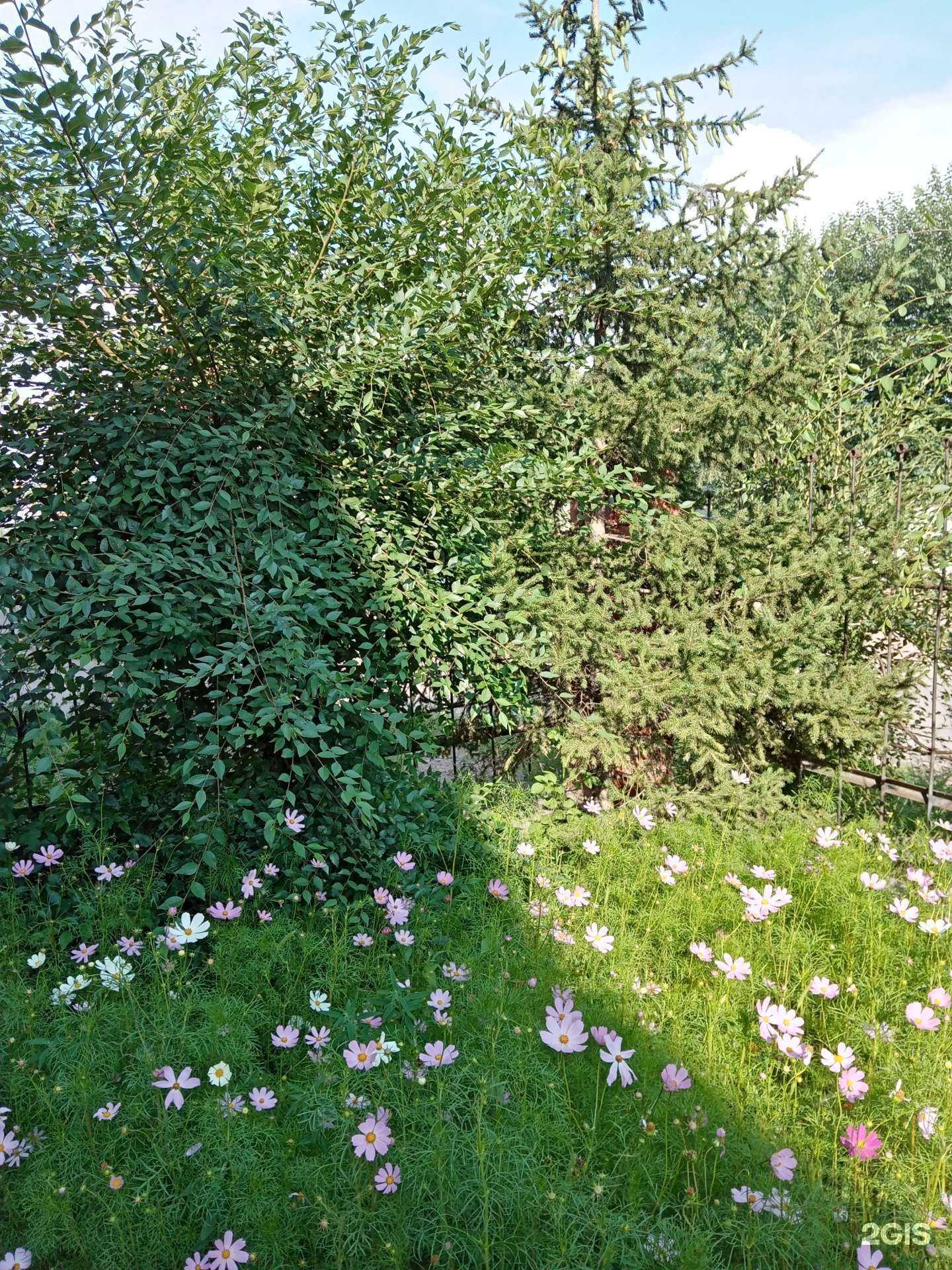 Отзывы на компанию Иркут в Улан-Удэ c фото