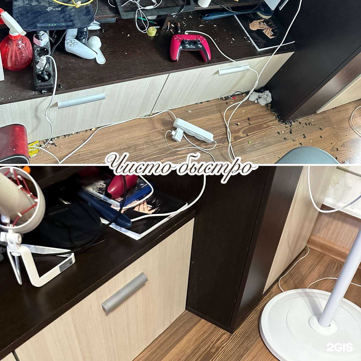 Отзывы на компанию Чисто Быстро в Новосибирске c фото