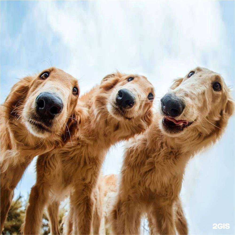 Отзывы на компанию Зеленый сад в г. Рязань c фото