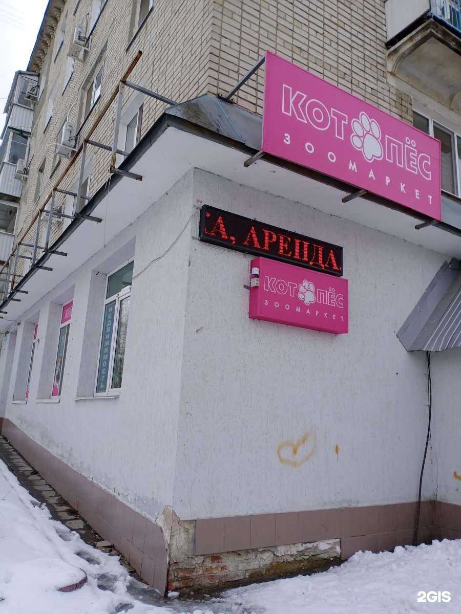 Отзывы на компанию Котопёс в Саратове c фото