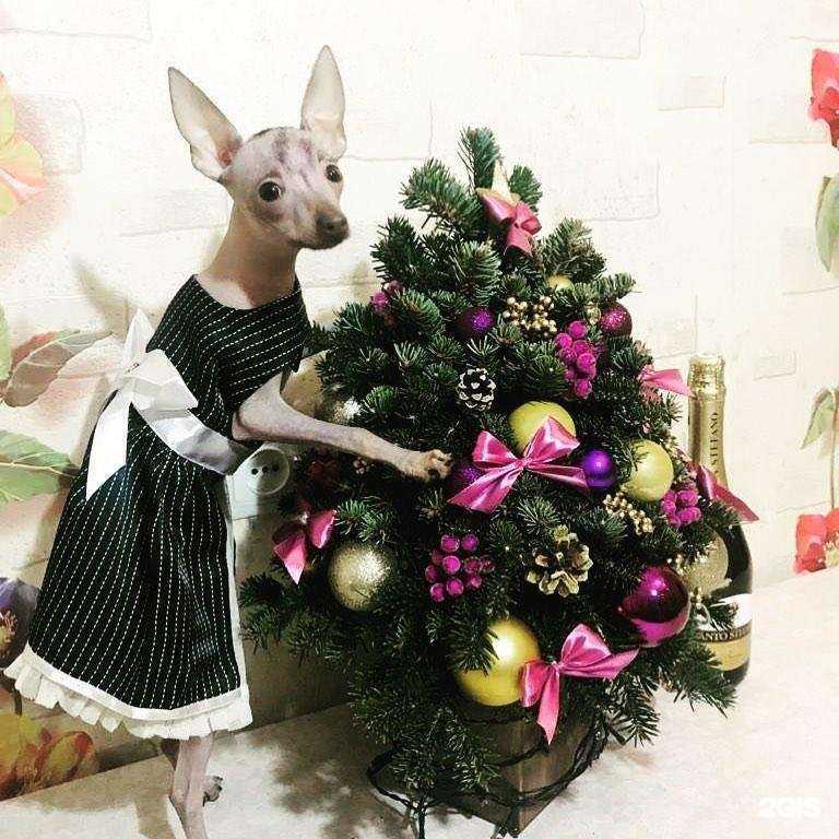 Отзывы на компанию Багира в Ростове-на-Дону c фото