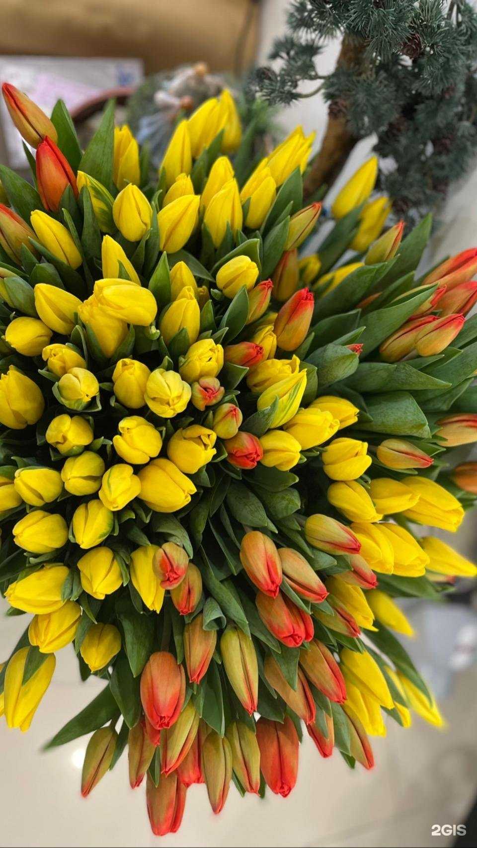 Отзывы на компанию Флавия в г. Тюмень c фото