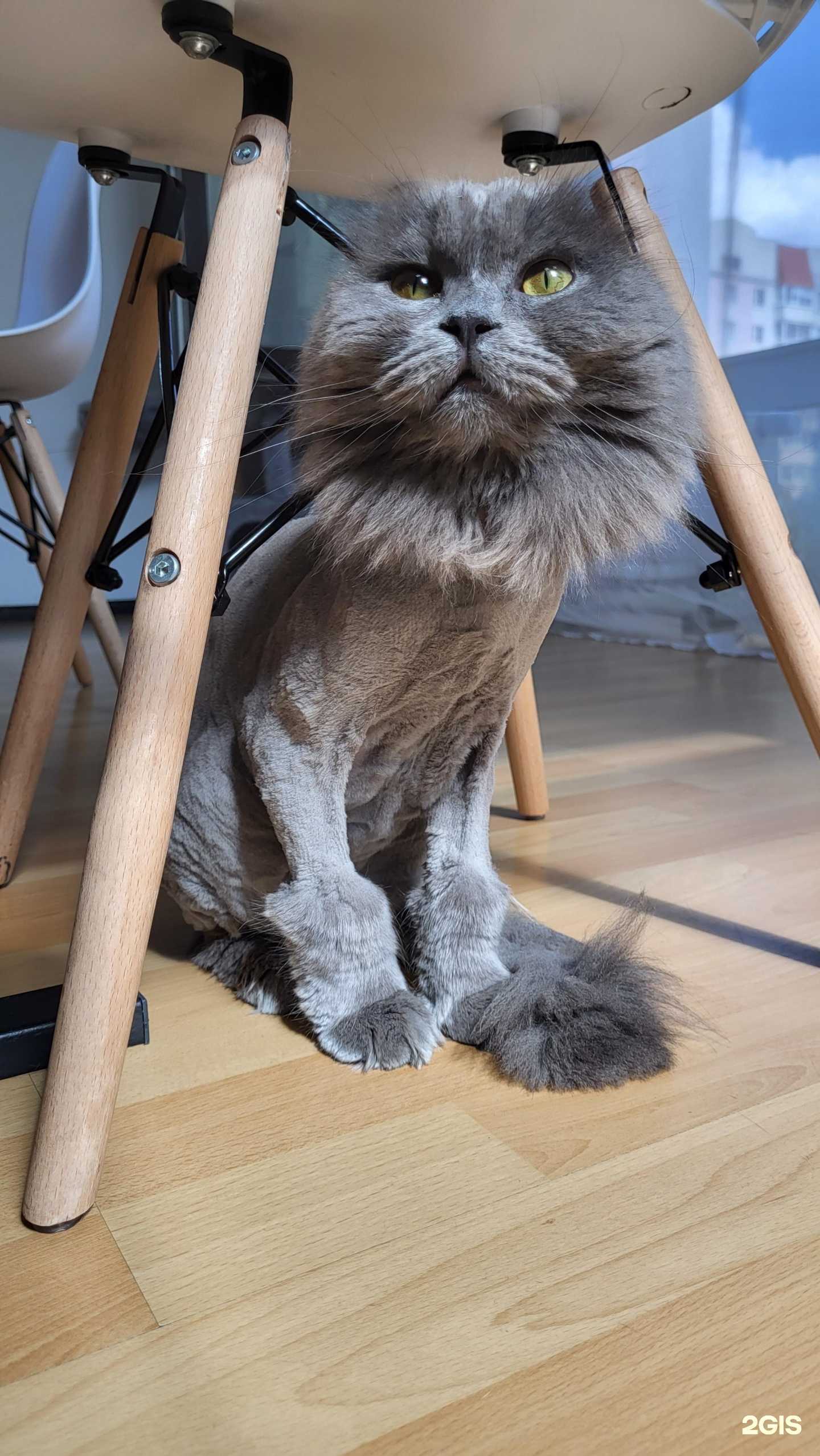 Отзывы на компанию ГлавМурГаф в Калининграде c фото