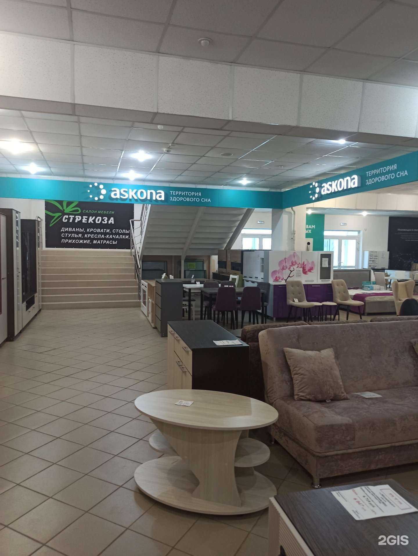 Отзывы на компанию Askona в Орске c фото