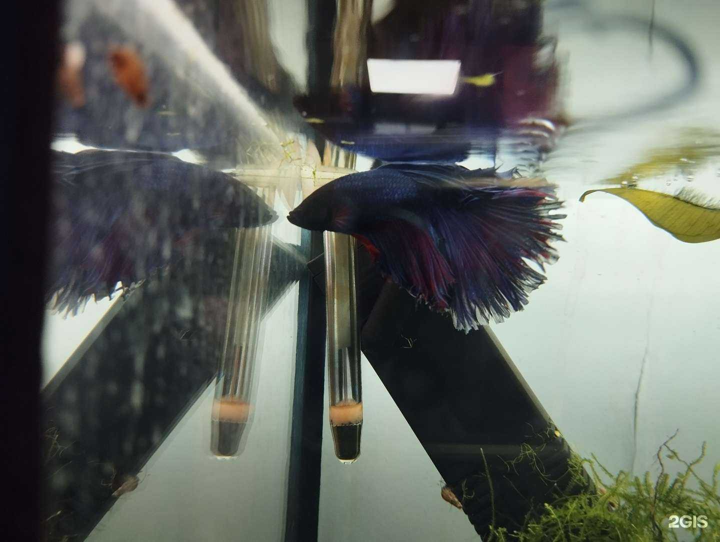 Отзывы на компанию Ариэль в г. Владивосток c фото