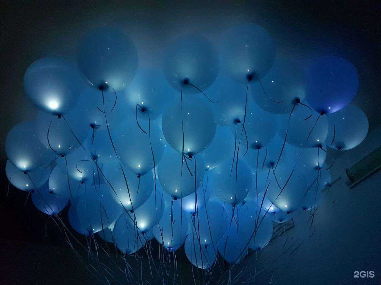 Отзывы на компанию Шарик про в Екатеринбурге c фото