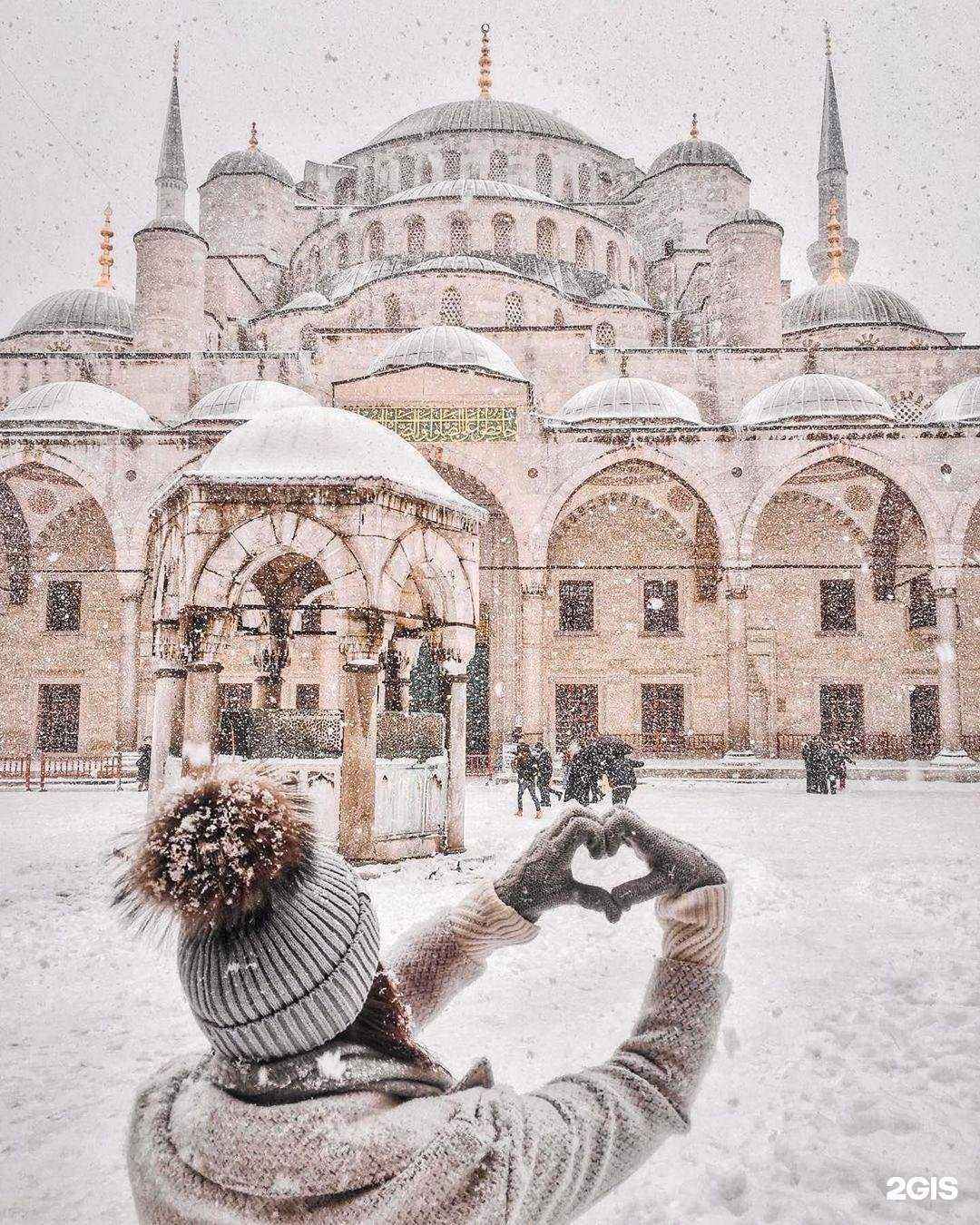 Отзывы на компанию Розовый слон в Батайске c фото