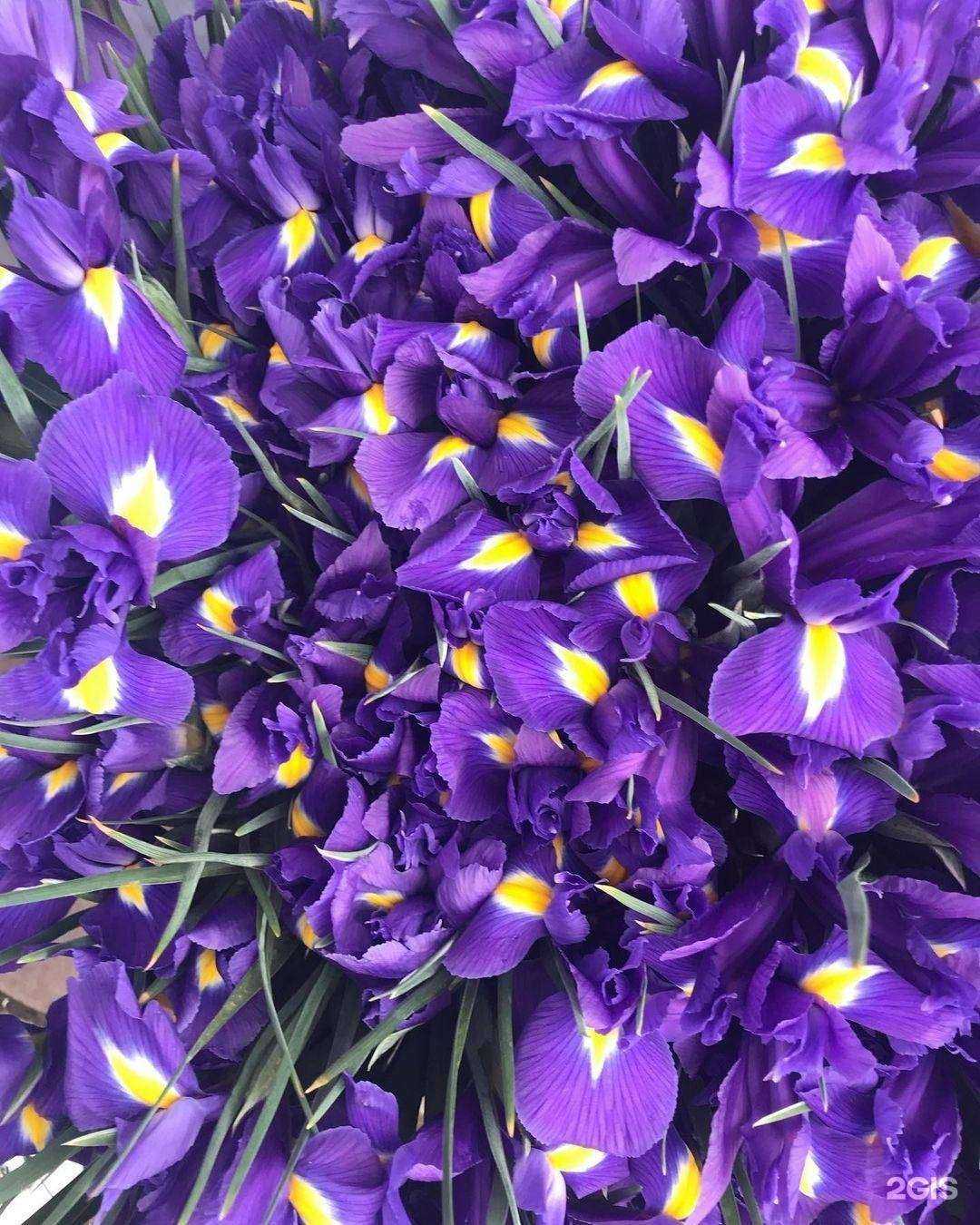 Отзывы на компанию Салон-магазин цветов и подарков в Армавире c фото