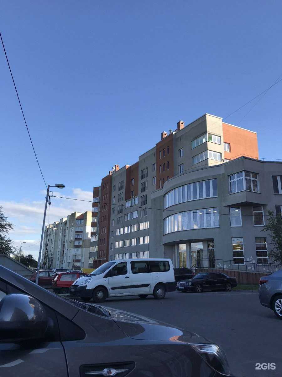 Отзывы на компанию Зелёный попугай в Калининграде c фото - фотография 2 из 2