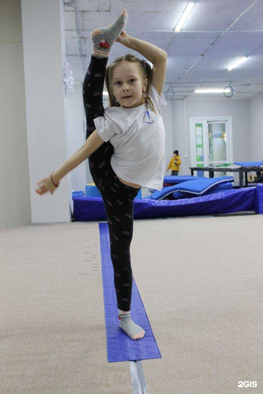 Отзывы на компанию Чемпион в г. Краснодар c фото