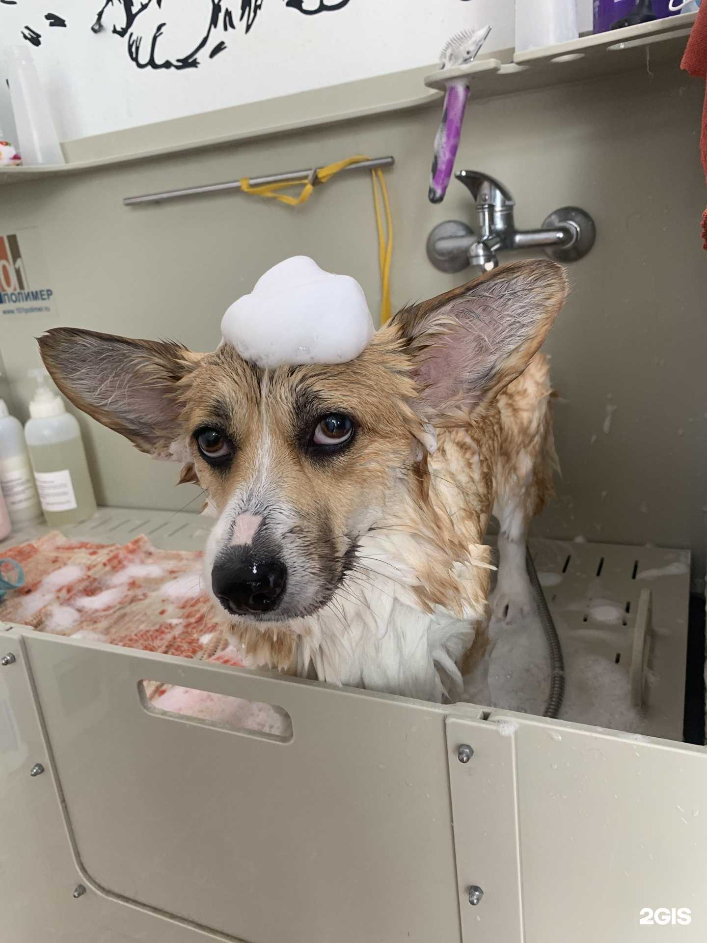 Отзывы на компанию Бонечка в Геленджике c фото