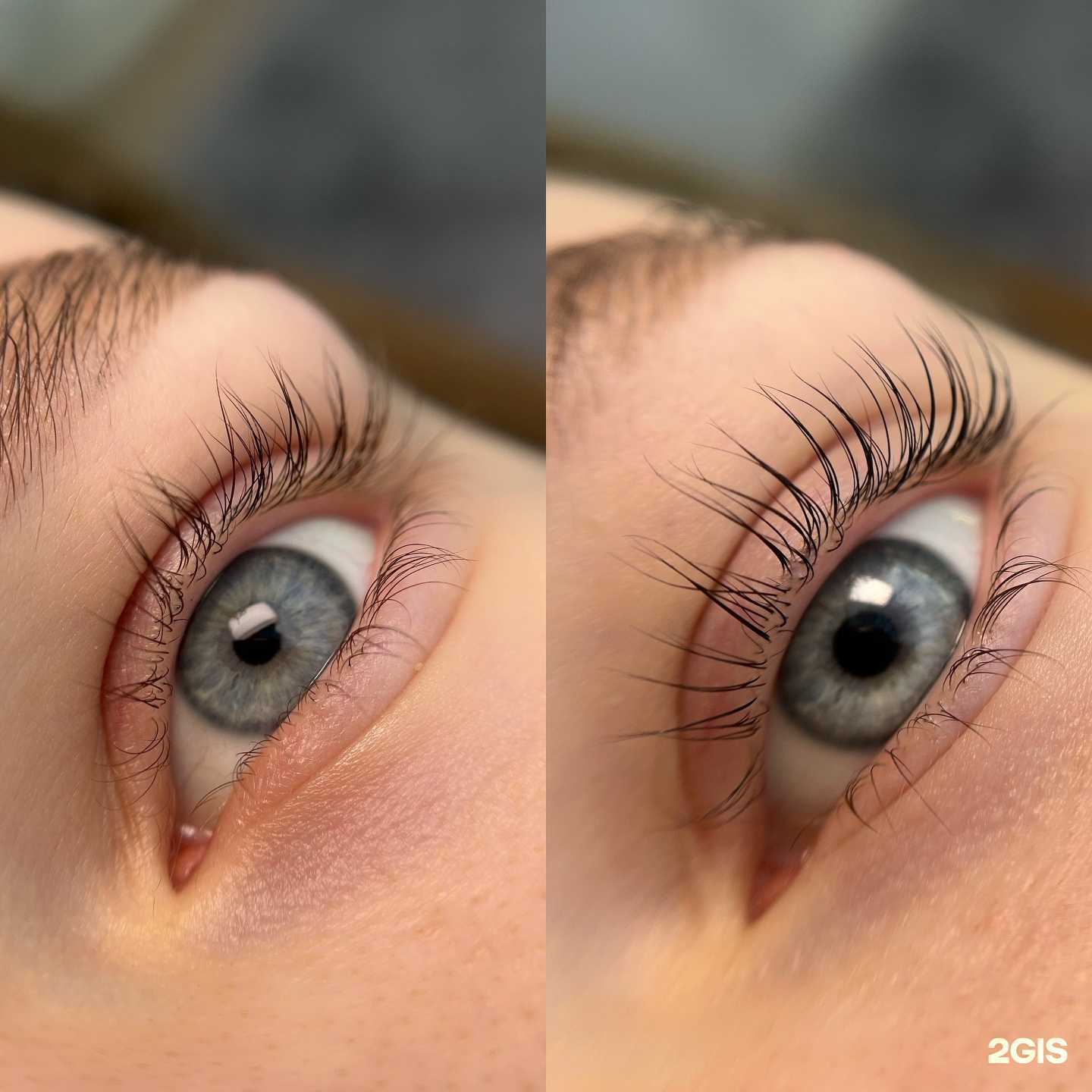 Отзывы на компанию Lashes&brow в Красноярске c фото