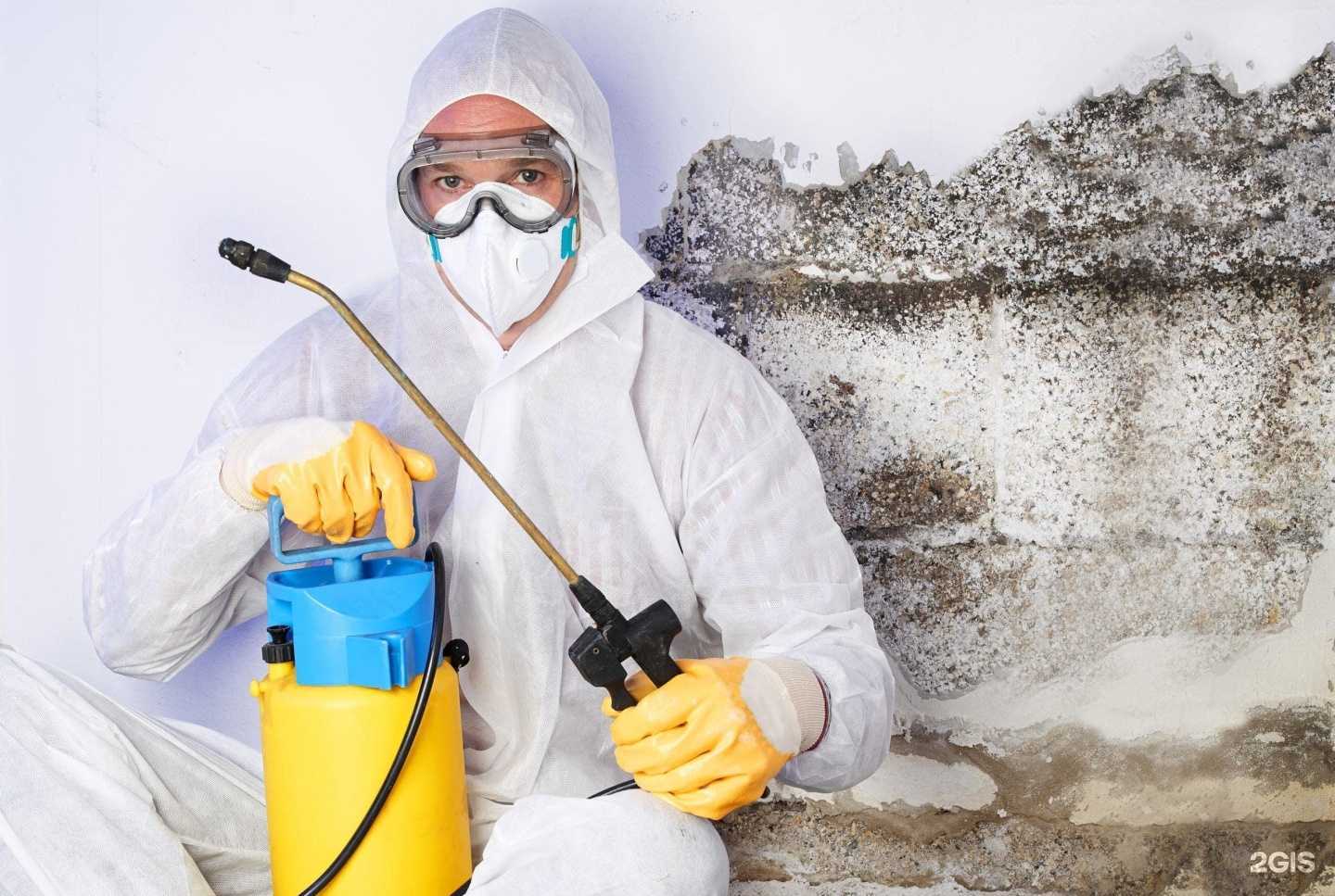 Отзывы на компанию Санитарная служба в г. Ангарск c фото