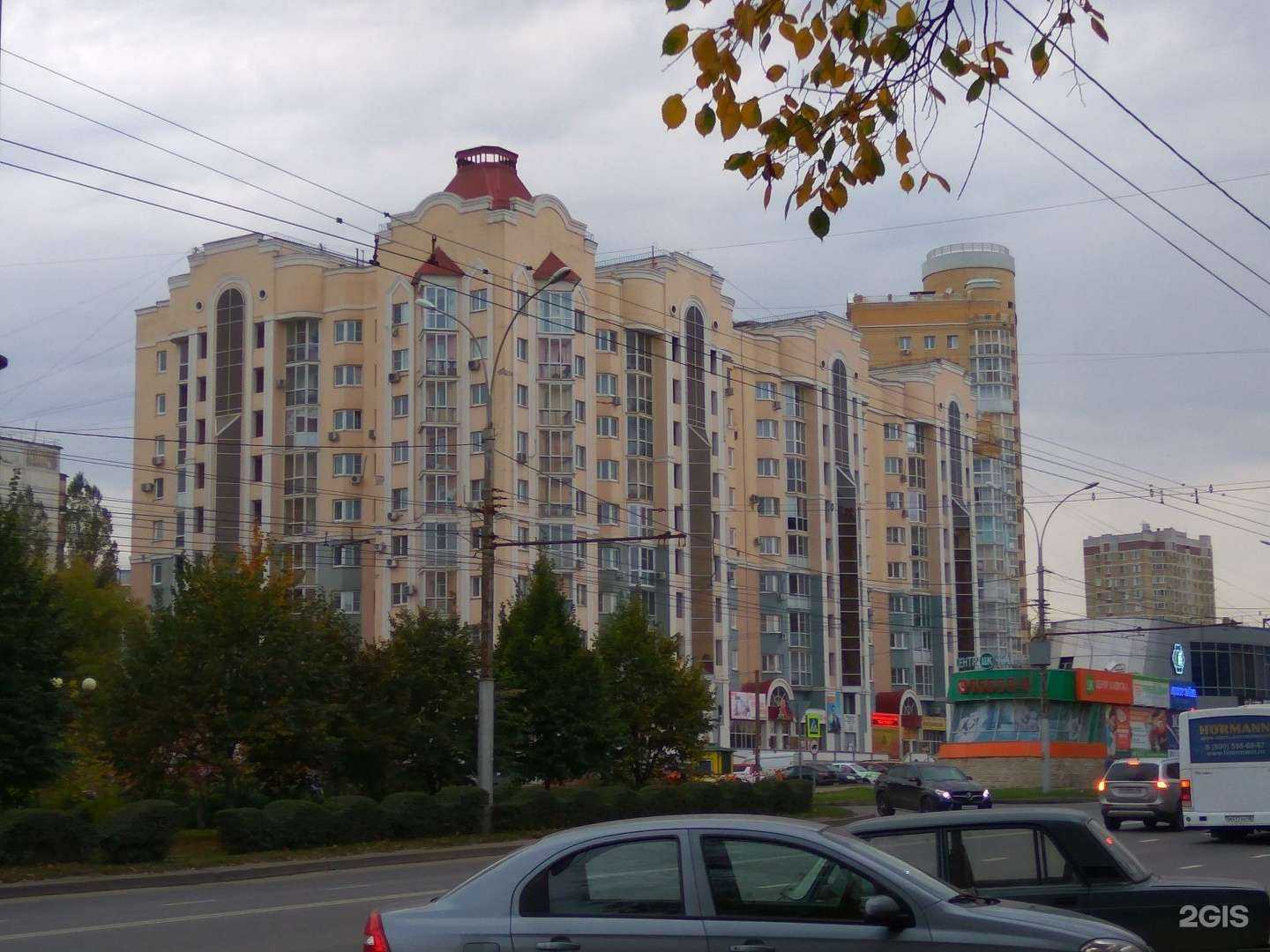 Отзывы на компанию Goldfishhouse в Липецке c фото - фотография 2 из 2