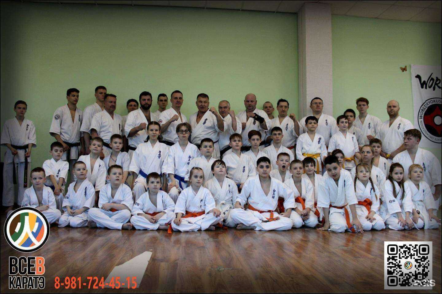 Отзывы на компанию Всевкаратэ в г. Всеволожск c фото