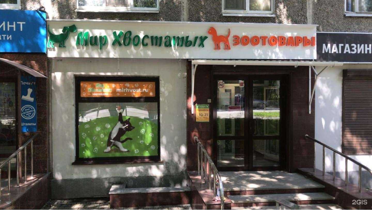 Отзывы на компанию Мир хвостатых в Екатеринбурге c фото