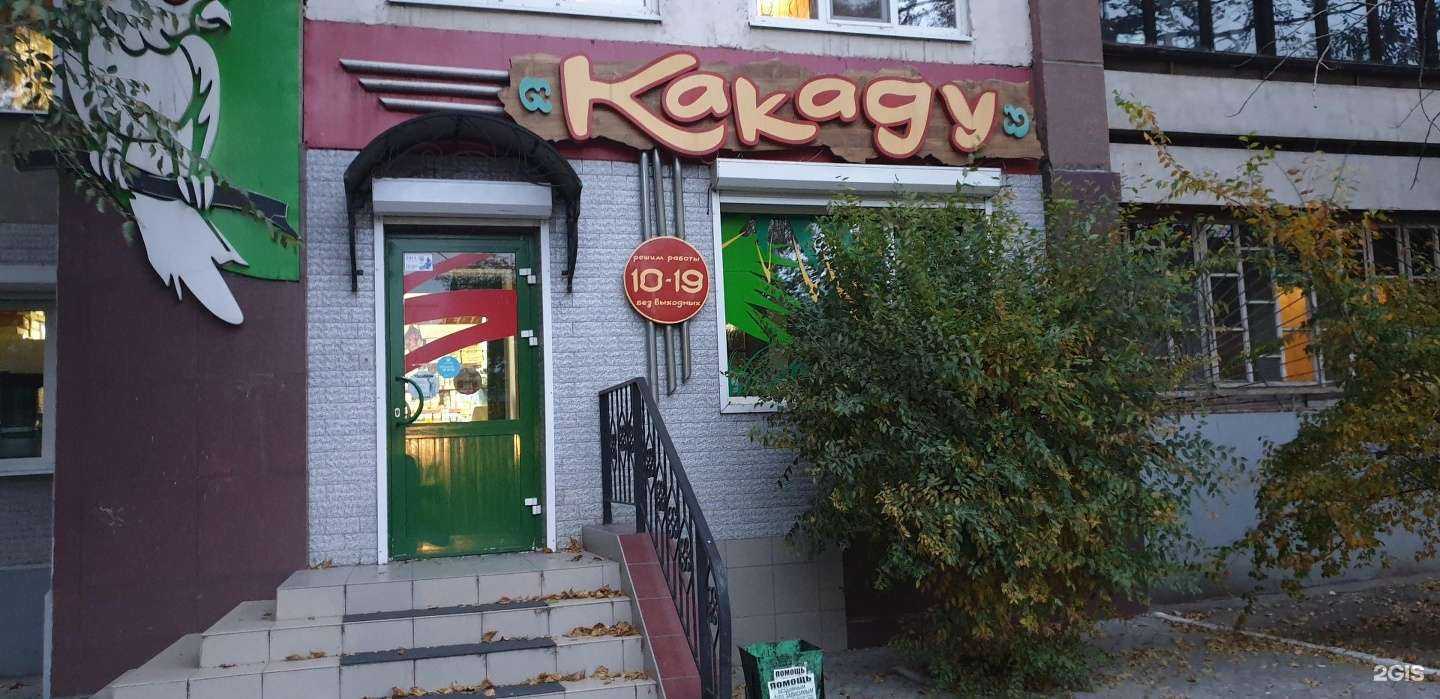 Отзывы на компанию Какаду в Чите c фото