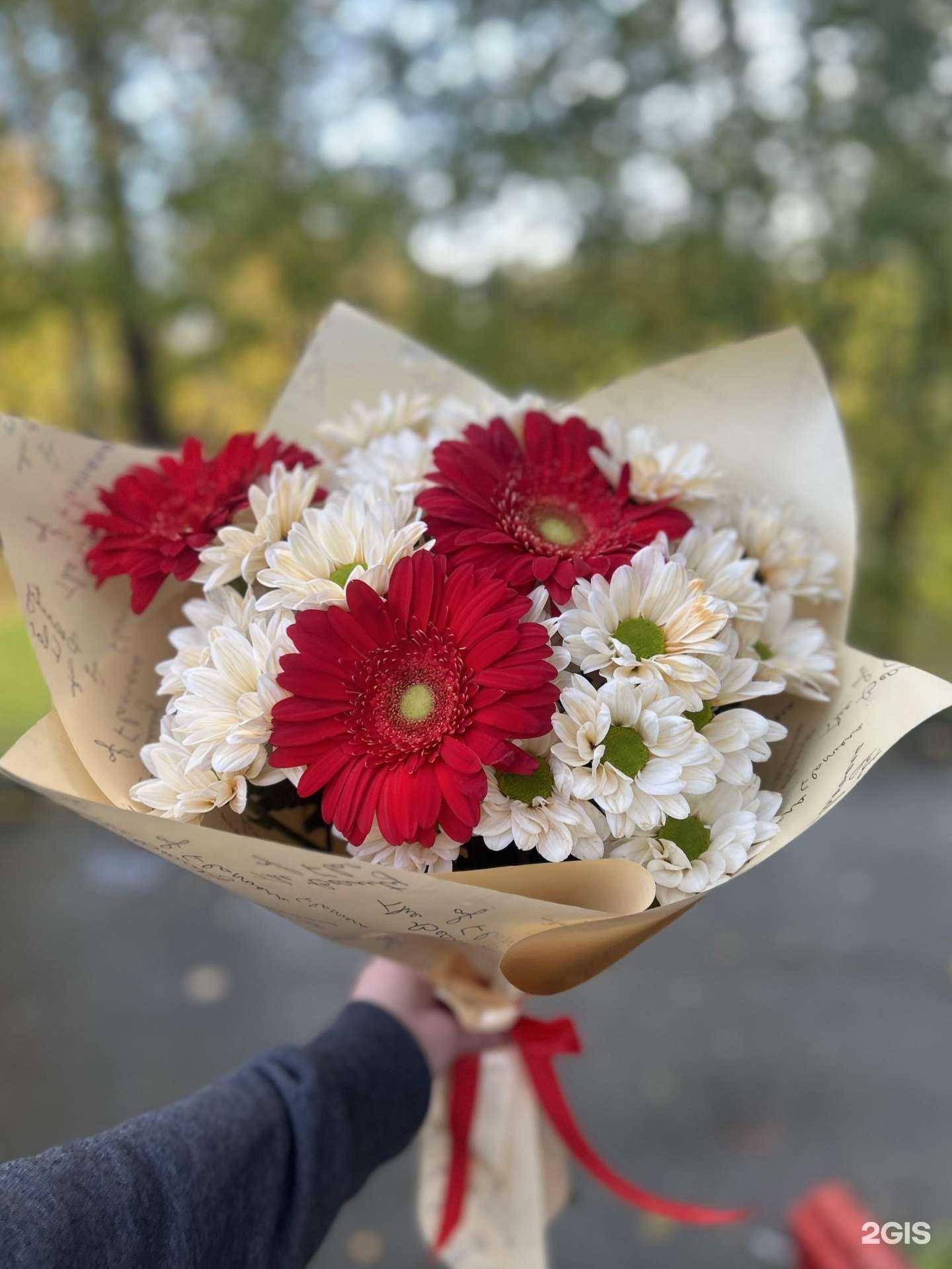 Отзывы на компанию Love is в Петрозаводске c фото