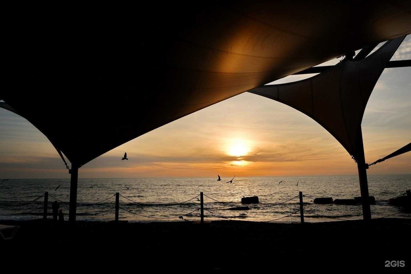 Отзывы на компанию Бургас в Сочи c фото