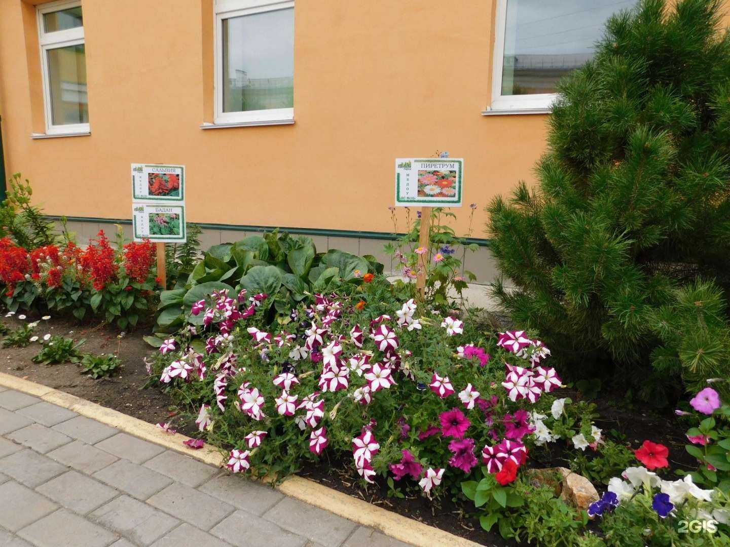 Отзывы на компанию Детский сад №10 в г. Челябинск c фото