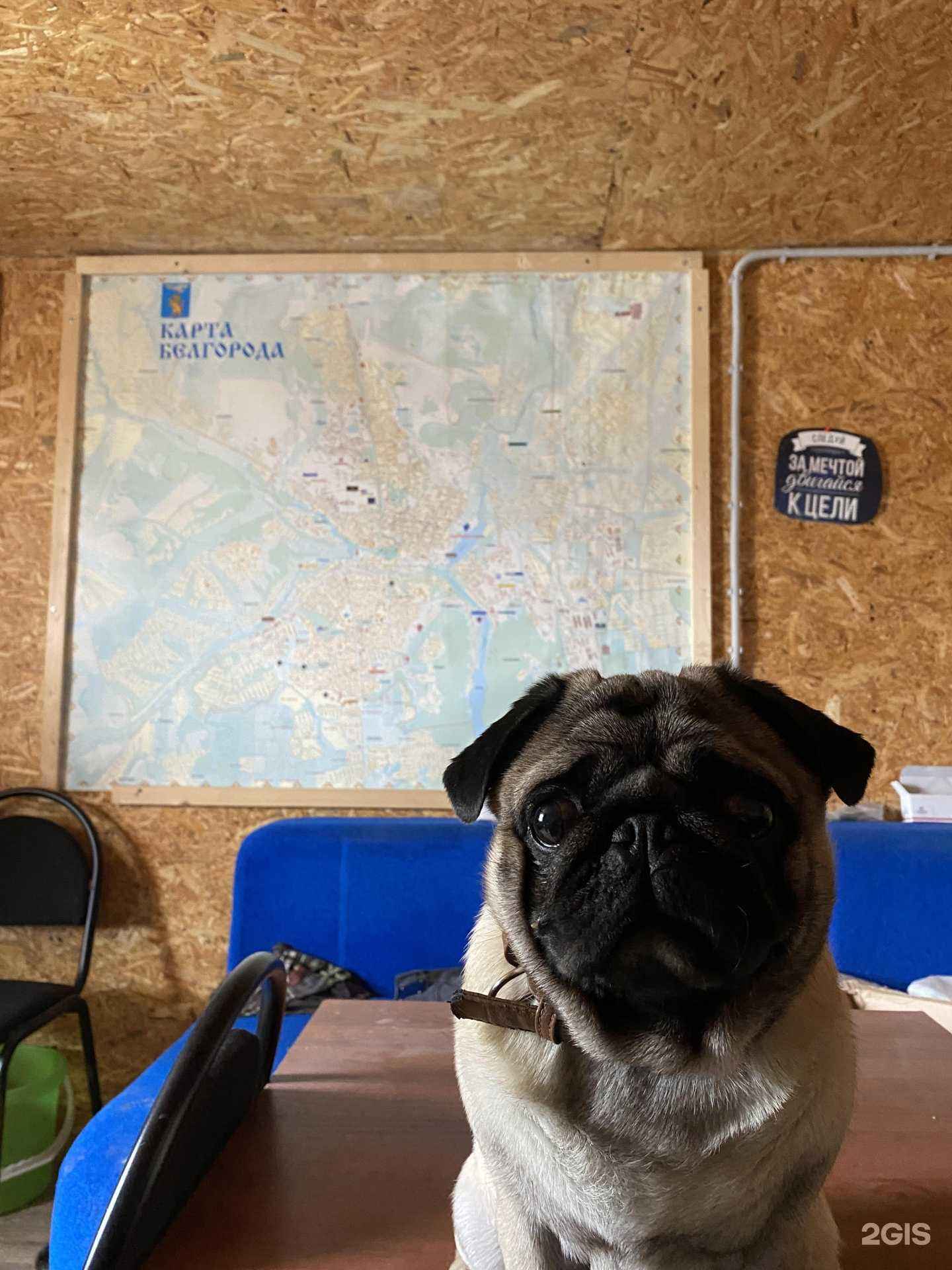 Отзывы на компанию Антей-5 в г. Белгород c фото