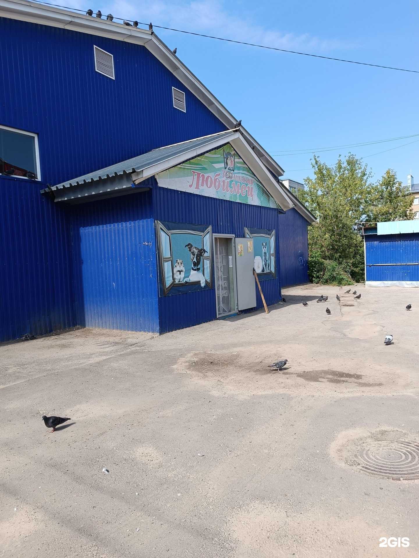 Отзывы на компанию Любимец в г. Арзамас c фото