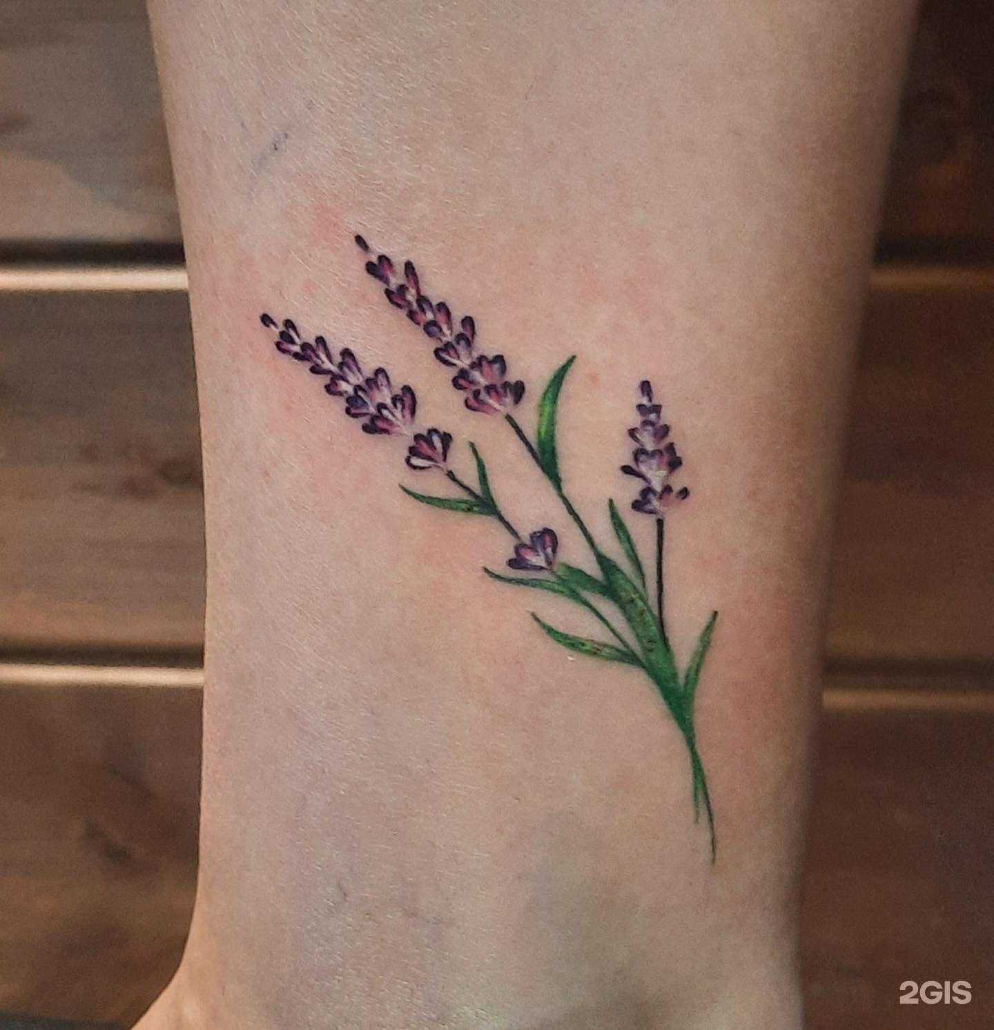 Отзывы на компанию Куба в Омске c фото