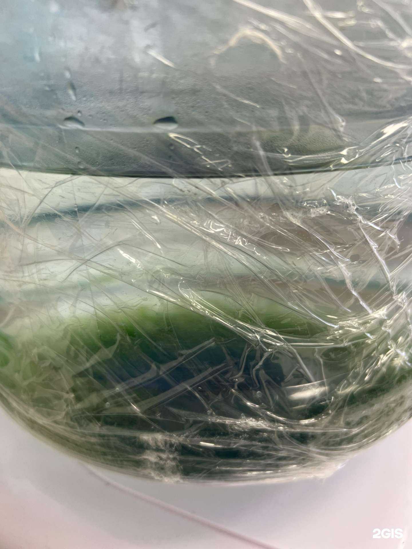 Отзывы на компанию Crystalium в г. Кострома c фото