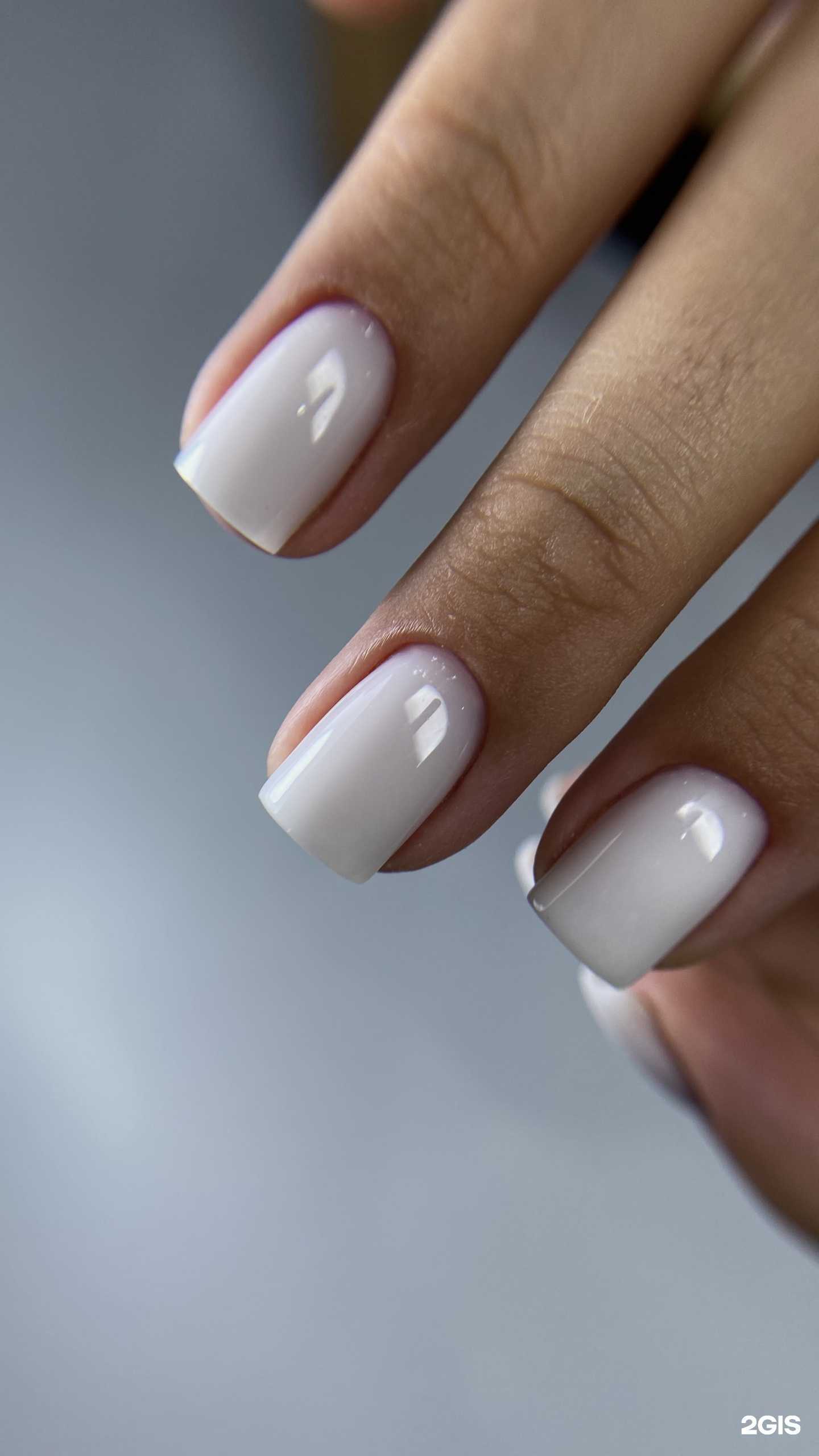 Отзывы на компанию An`Eli  в Сочи c фото